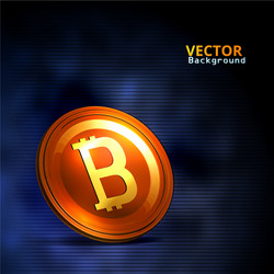 concept of e-commerce bitcoin vector image