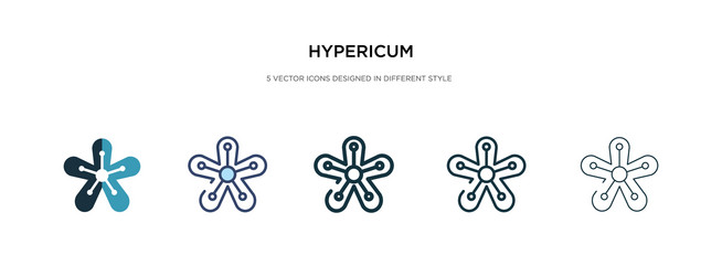 hypericum icon in different style two colored vector image