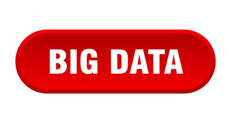 big data button rounded sign on white background vector image