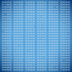 Digital Binary Code Background vector image