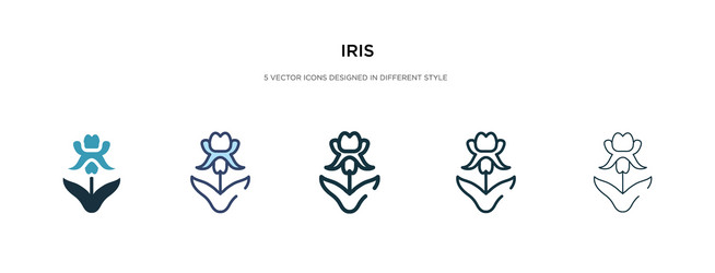 Iris icon in different style two colored vector