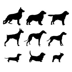 Set of Black Dog Silhouettes Vector Image