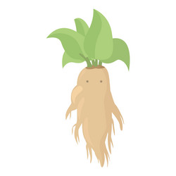 Witchcraft mandrake icon cartoon halloween plant vector