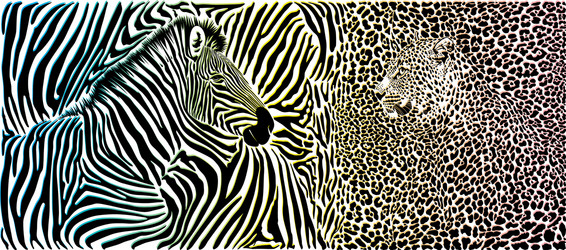 Zebra and Leopard Pattern Background vector image