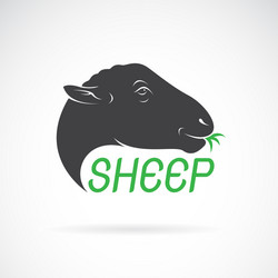 Sheep Head - White Background Vector Image