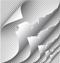 page curl with shadow on blank sheet paper vector image