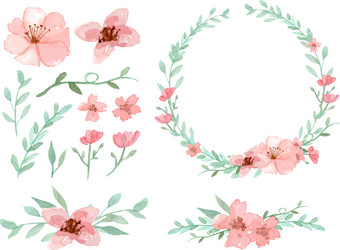 Watercolor Floral Branch Set Vector Image