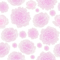 Pink Peony Floral Seamless Pattern Vector Image