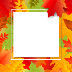 Autumn poster speech bubble with color leaves vector