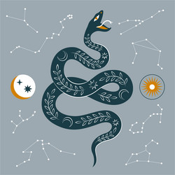 Snake and crown Royalty Free Vector Image - VectorStock