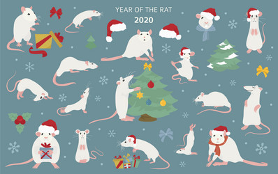 Different rats christmas collection rat poses vector