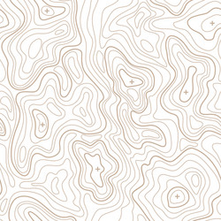 Topographical Map Pattern vector