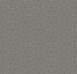 seamless pattern with hexagonal dotted vector image