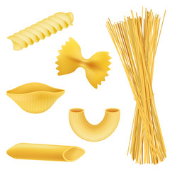 Different pasta shapes - realistic set isolated vector