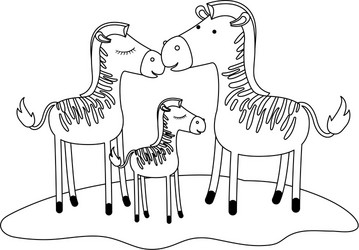 zebras couple and foal over grass in monochrome vector