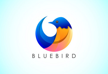 modern colorful bluebird logo design template vector