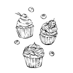 Hand Drawn Cupcake & Berry Set vector