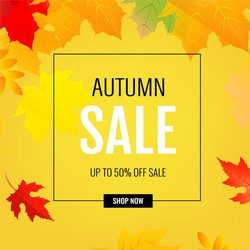 Autumn poster with color leaves vector