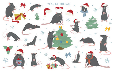 different rats christmas collection rat poses vector