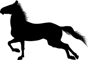 horses Vector Image