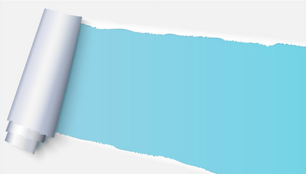 realistic torn open paper with space for text vector image