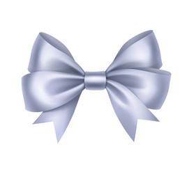 Shiny light blue satin gift bow close up isolated vector