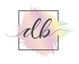 Calligraphic lowercase letters db are written vector