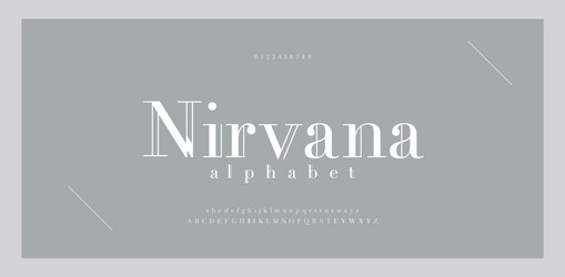 elegant alphabet letters font and number classic vector