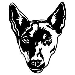 abstract portrait of a kelpie dog black contour vector