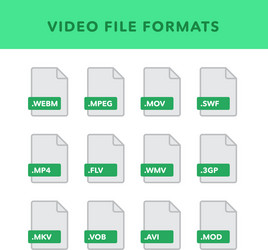 Set of video file formats and labels in flat vector