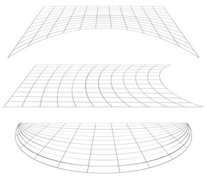 graticule grid mesh plane with deform distortion vector