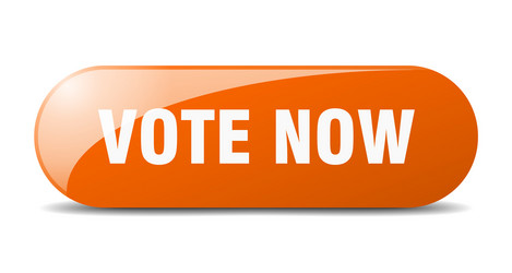 vote now button sign key push vector image
