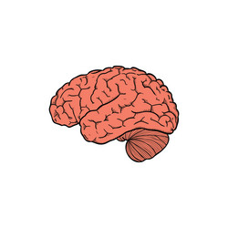 Abstract human brain logo design template vector