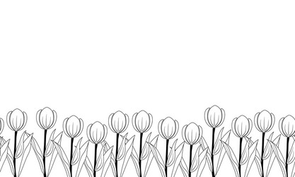 floral seamless pattern in one row tulip spring vector