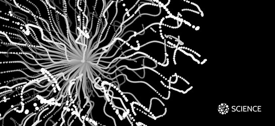 abstract science or technology background array vector image