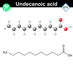 undecanoic acid atomic structure vector