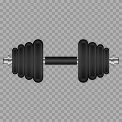 Realistic gym dumbbell on transparent background Vector Image