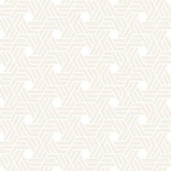 Subtle Hexagonal Pattern vector image