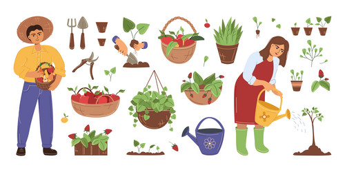 garden supplies a set of plants and gardeners Vector Image