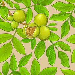 walnut branches pattern on color background vector image