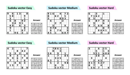 Sudoku Puzzle Game with Solutions vector image