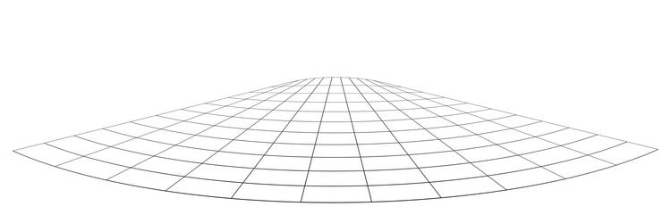 graticule grid mesh plane with deform distortion vector image