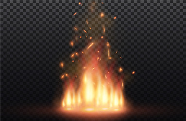 Flame of fire with sparks on a black background vector