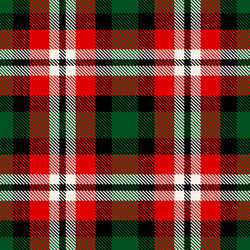 tartan plaid vector