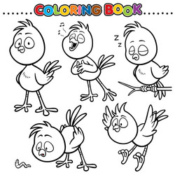 Cartoon Bird Coloring Page Vector Image