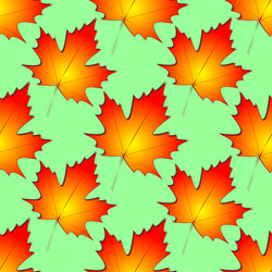 seamless symmetrical pattern of autumn maple vector image