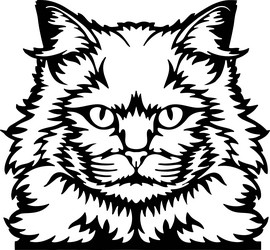 turkish angora cat peeking cats vector