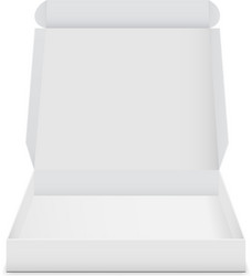 empty box with open lid vector image