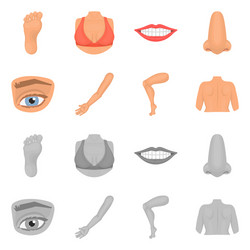 isolated object of body and part logo collection vector image