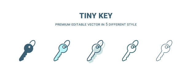 tiny key icon in 5 different style outline filled vector image